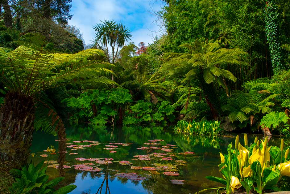 The Lost Gardens of Heligan, Cornwall